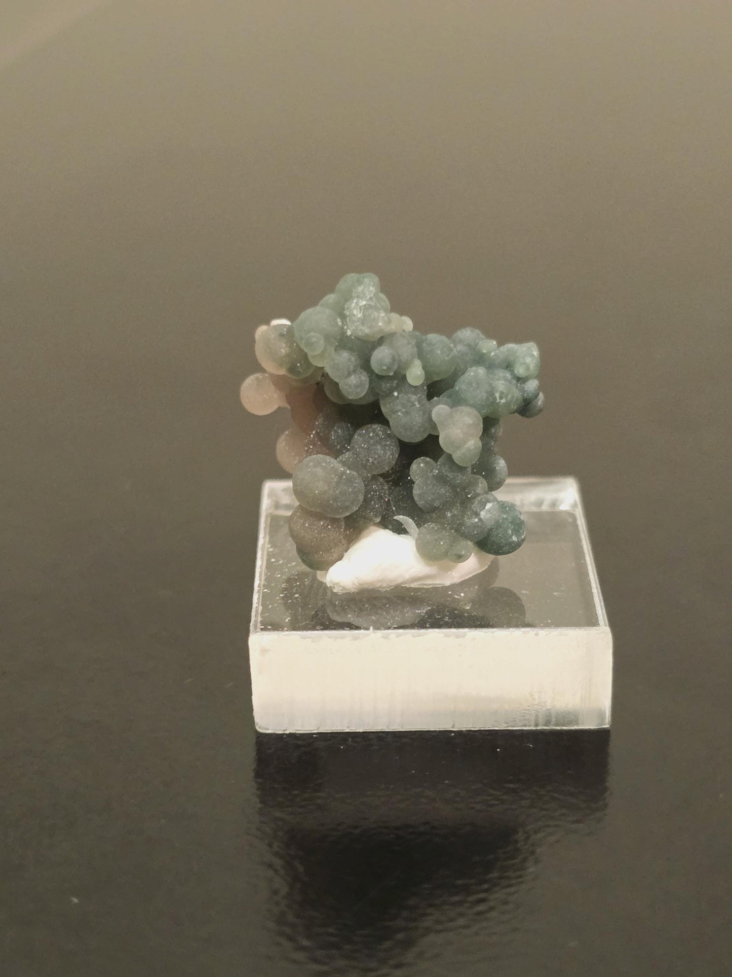 Grape Agate Thumbnail Speciman | Botryoidal Chalcedony 15.7 mm