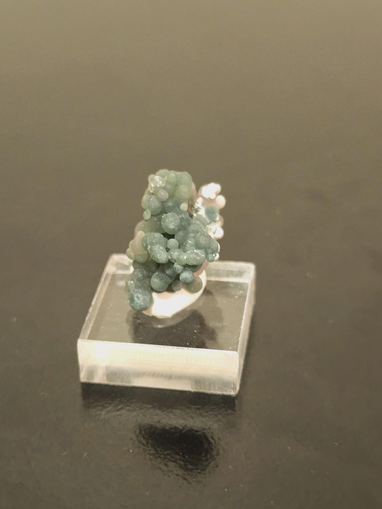 Grape Agate Thumbnail Speciman | Botryoidal Chalcedony 15.7 mm