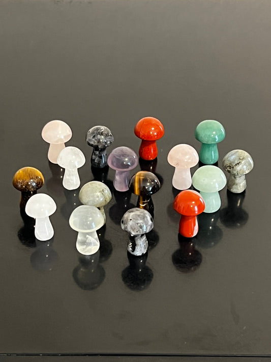 Mini Crystal Mushroom