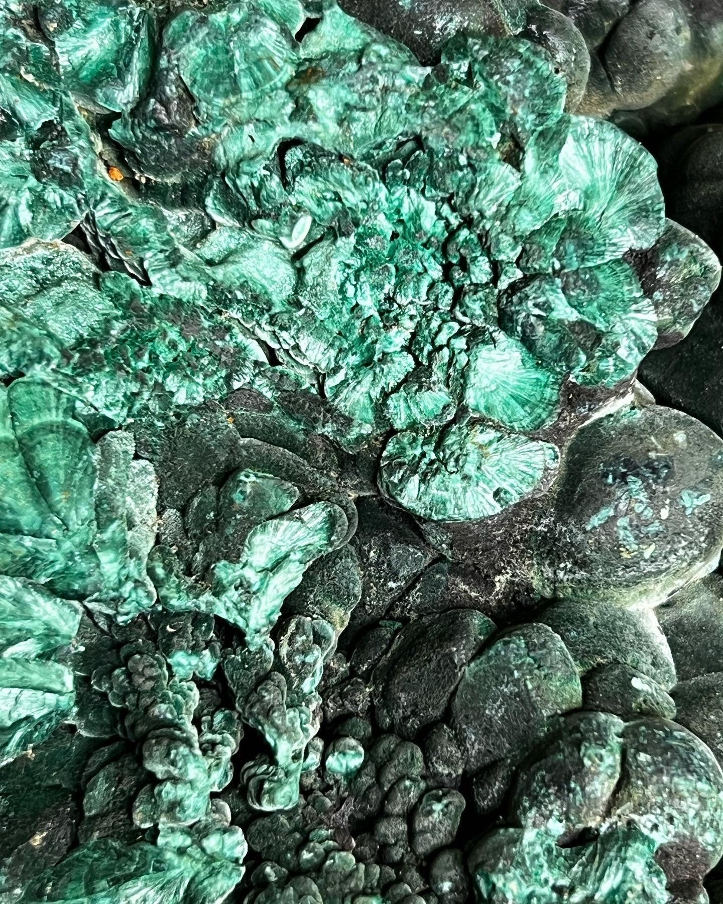 Malachite Specimen | Malachite Tree with Stand