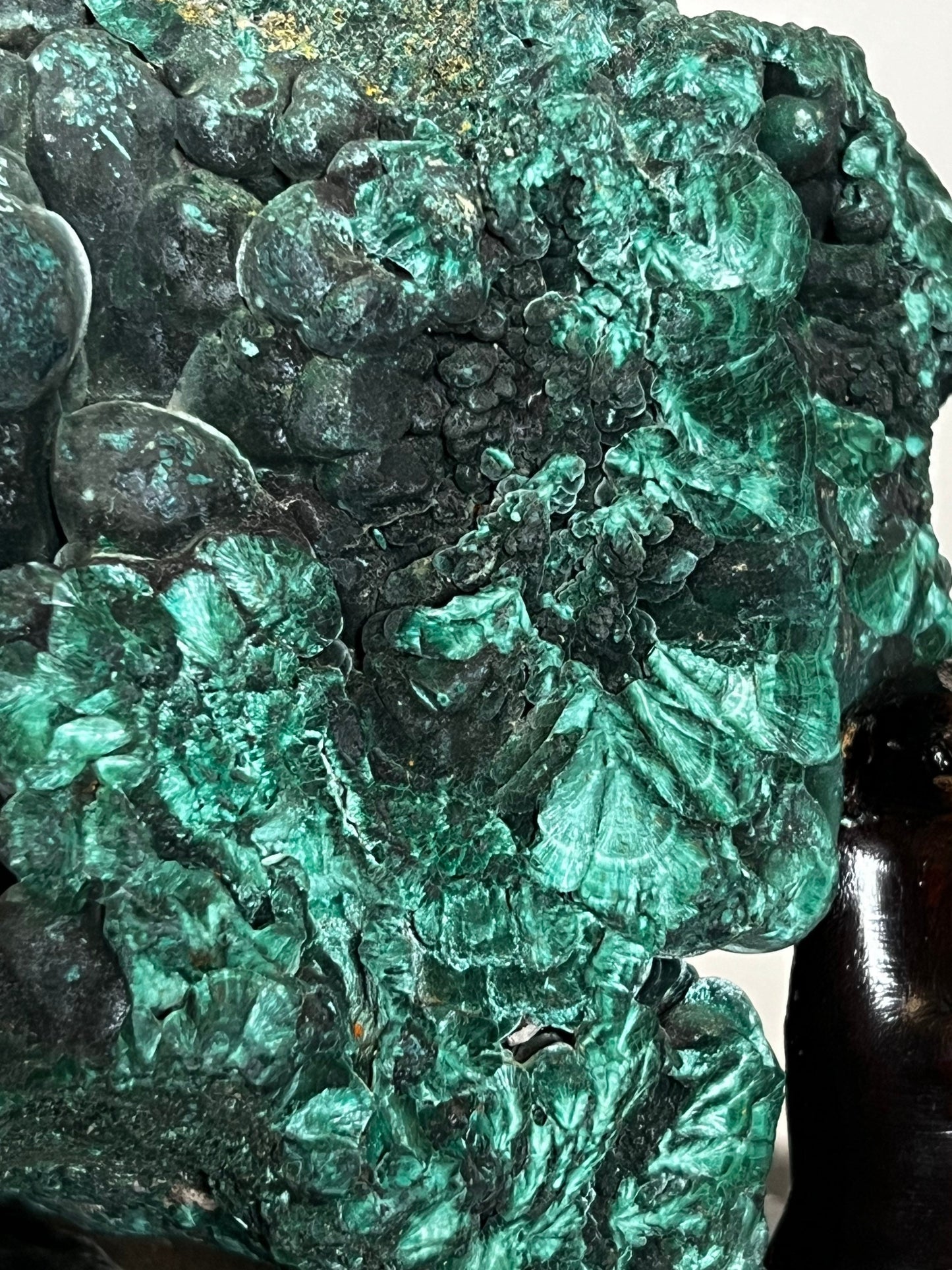 Malachite Specimen | Malachite Tree with Stand