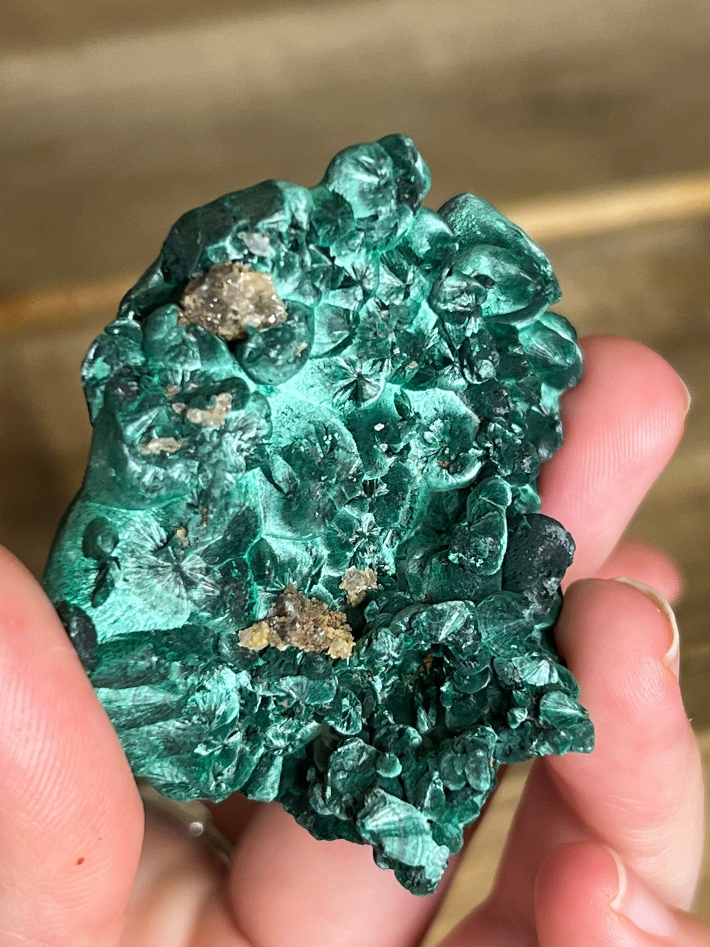 Velvet Malachite Specimen | Silky Malachite | Druzy Malachite 65 g