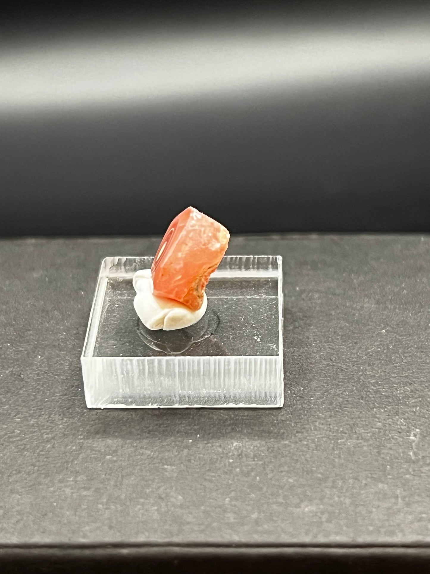 Rhodochrosite Stalactite Slice | Mineral Specimen