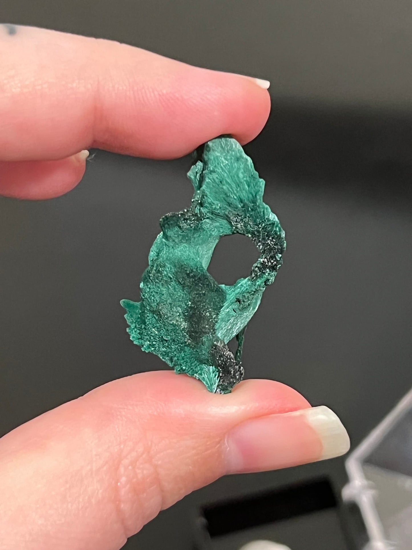 Velvet Malachite Specimen | Silky Malachite | Druzy Malachite 1.31” Tall